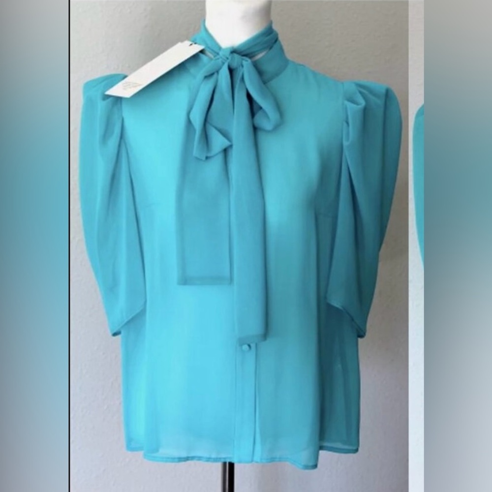 NWT Aggi Selected Ocean Blue Sheer Women’s Blouse
